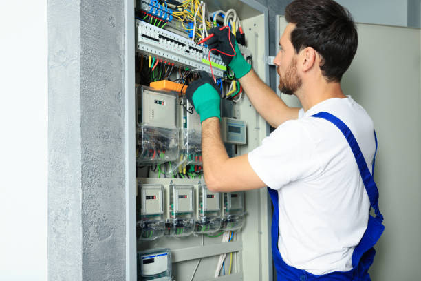 Best Electric Panel Repair  in Basile, LA